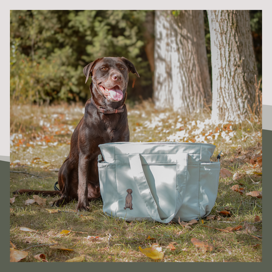 Travel Tote
