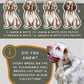 Clumber Spaniels - Build-Your-Own