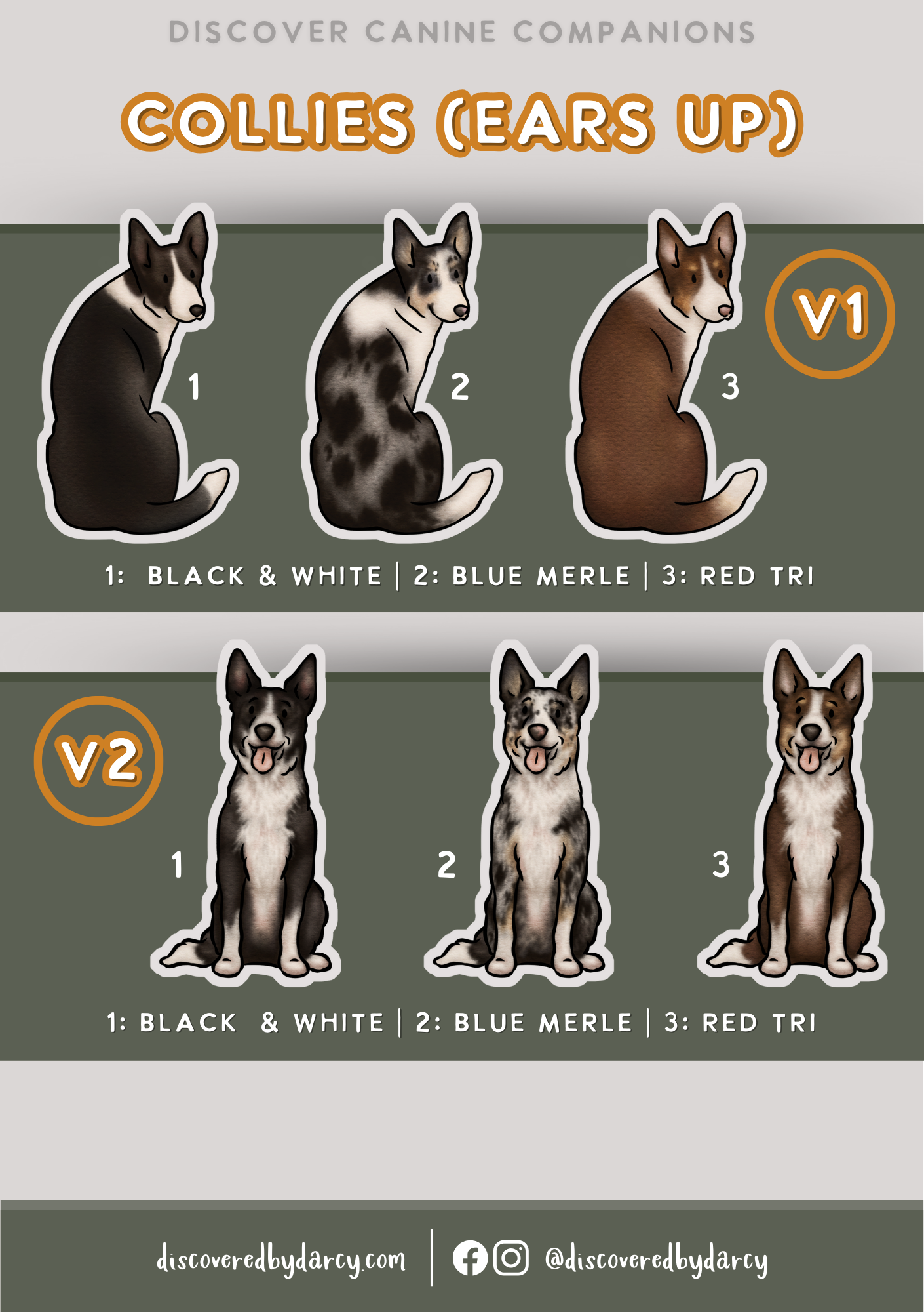 Collies - Build-Your-Own