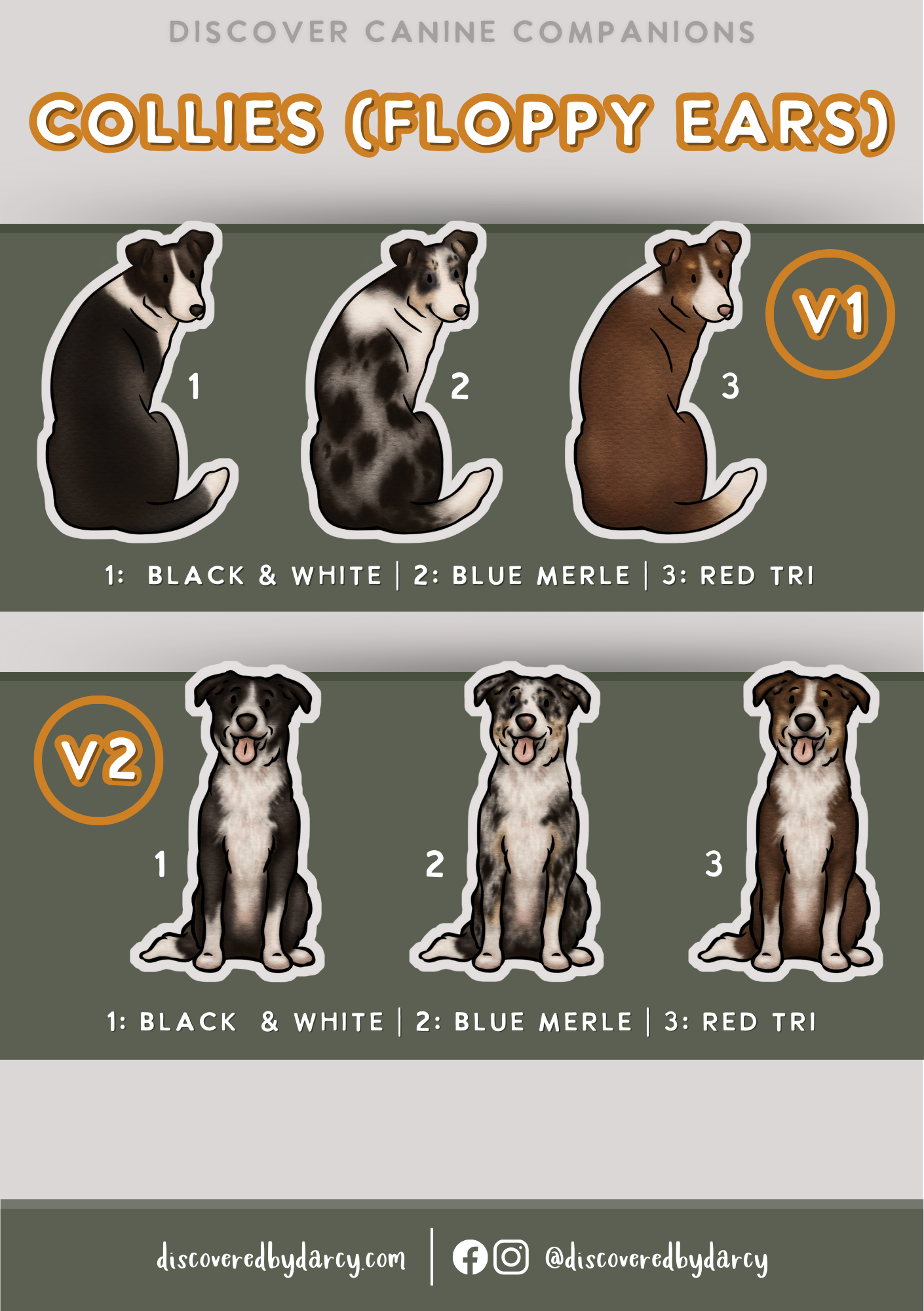 Collies - Build-Your-Own