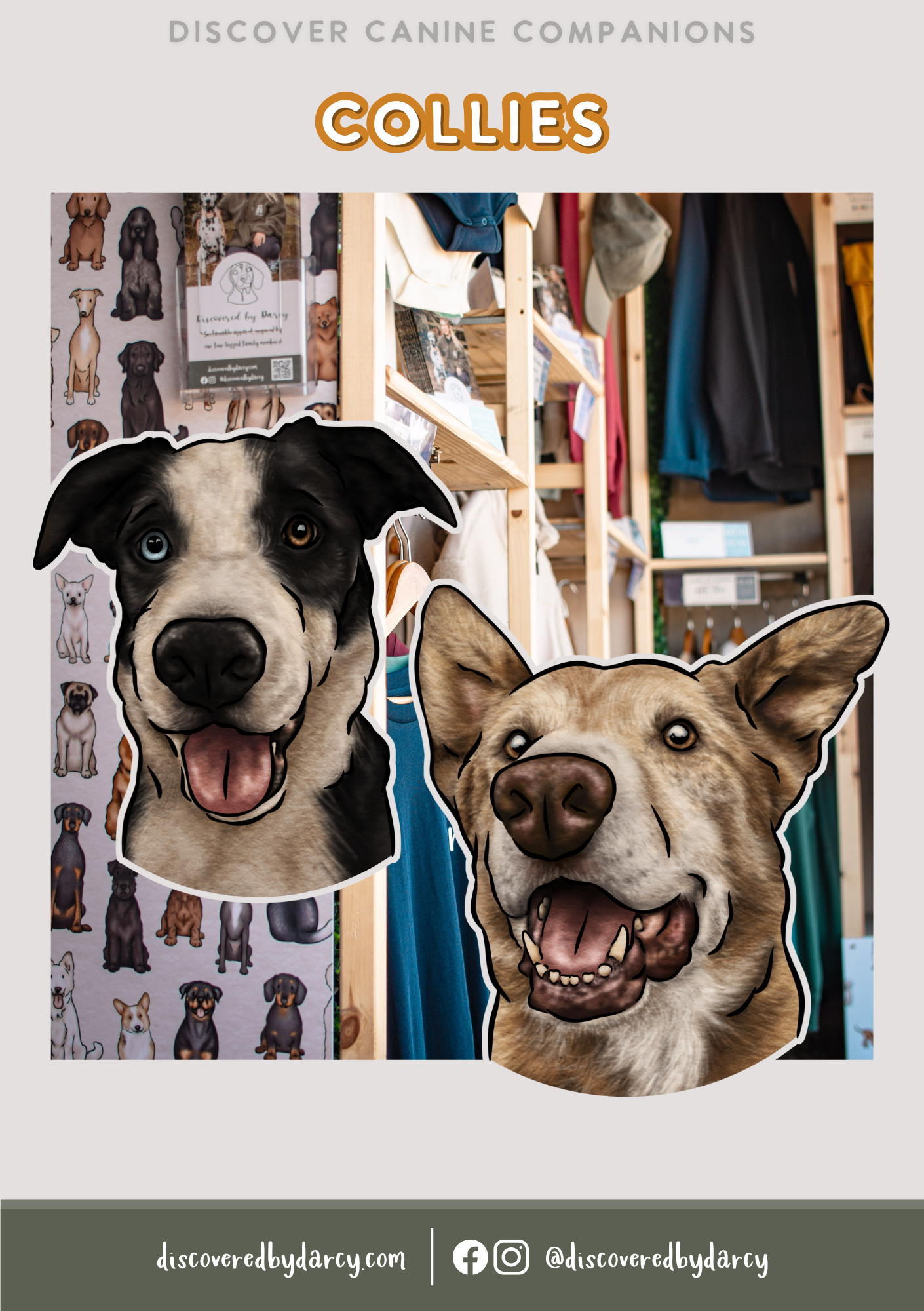 Collies - Build-Your-Own