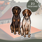 Coon Hounds - Build-Your-Own