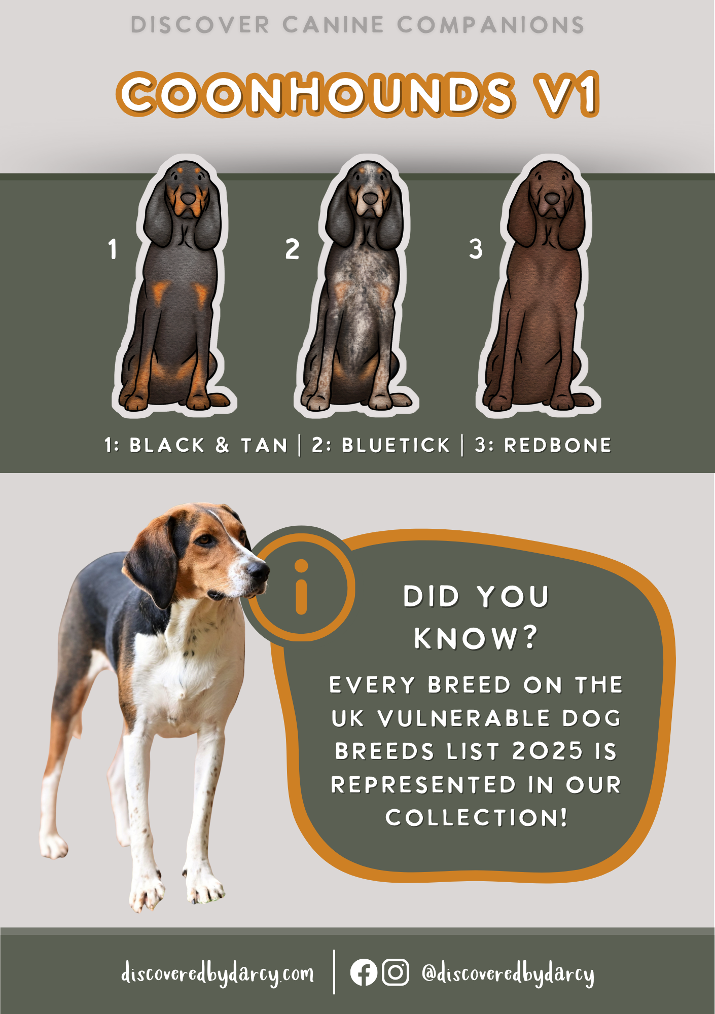 Coon Hounds - Build-Your-Own