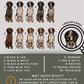 Coon Hounds - Build-Your-Own