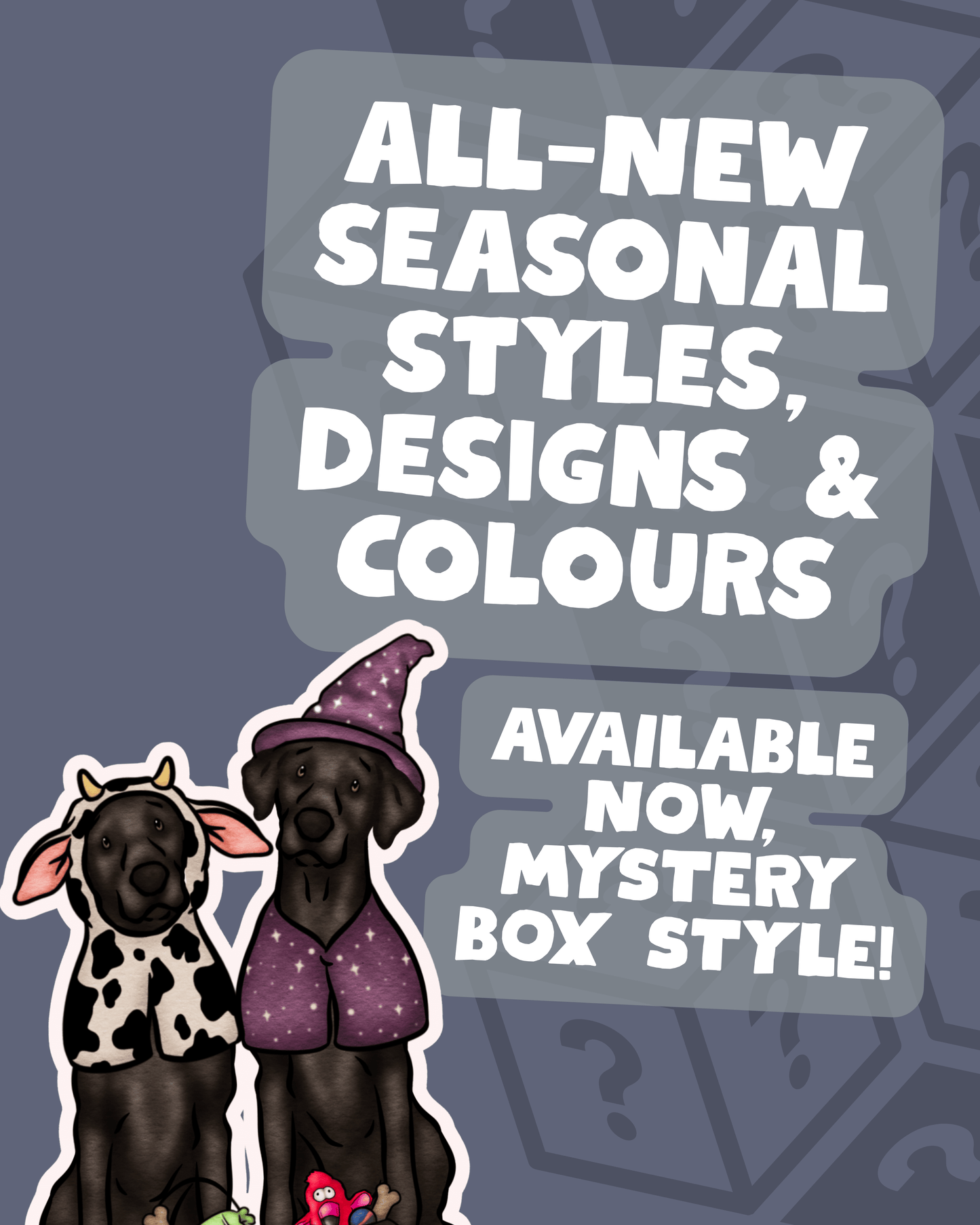 AW26 Mystery Boxes