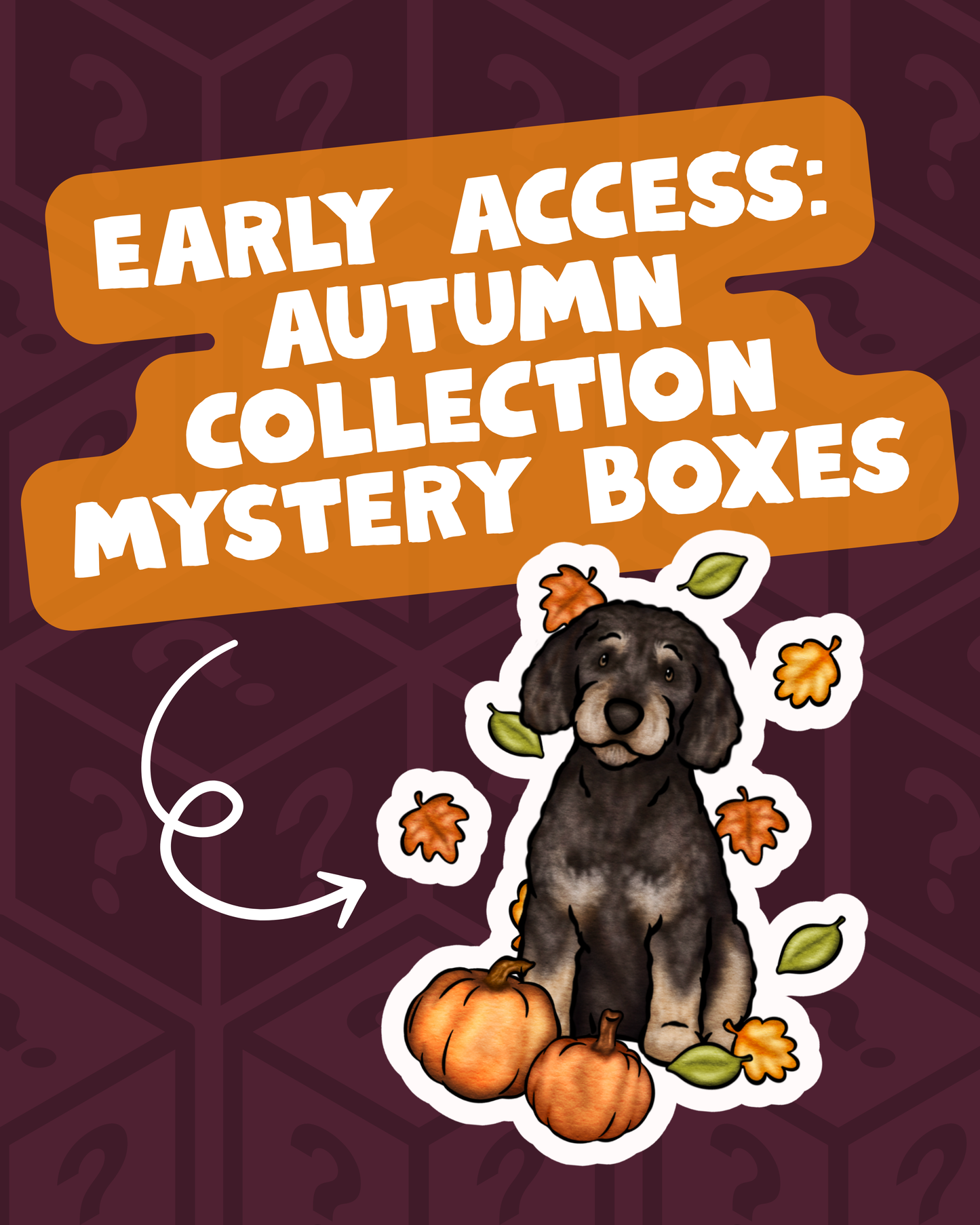AW26 Mystery Boxes