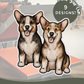 Corgis - Build-Your-Own