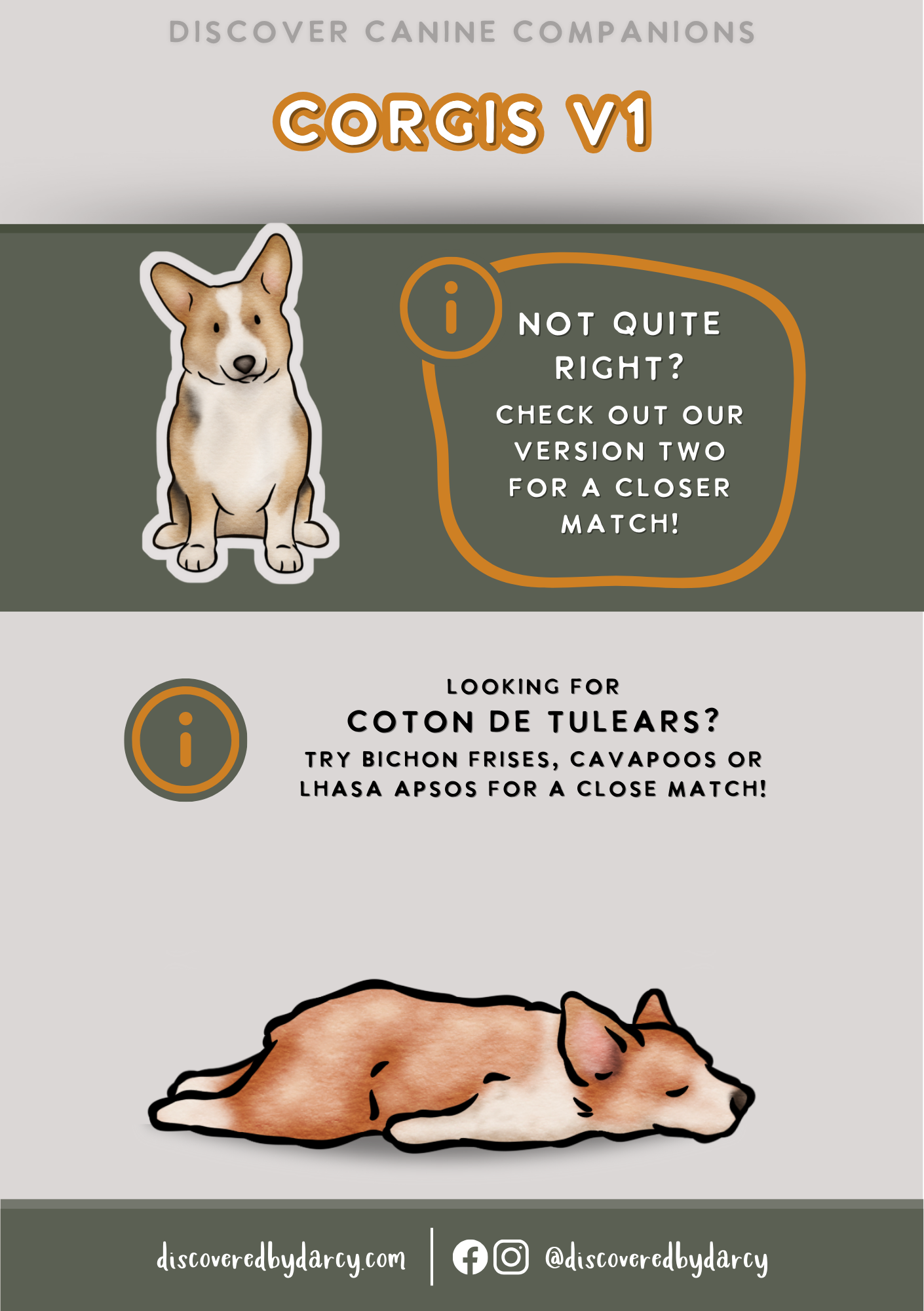 Corgis - Build-Your-Own
