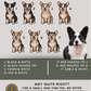 Corgis - Build-Your-Own
