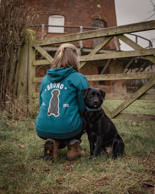 Canine Companions - Build-Your-Own