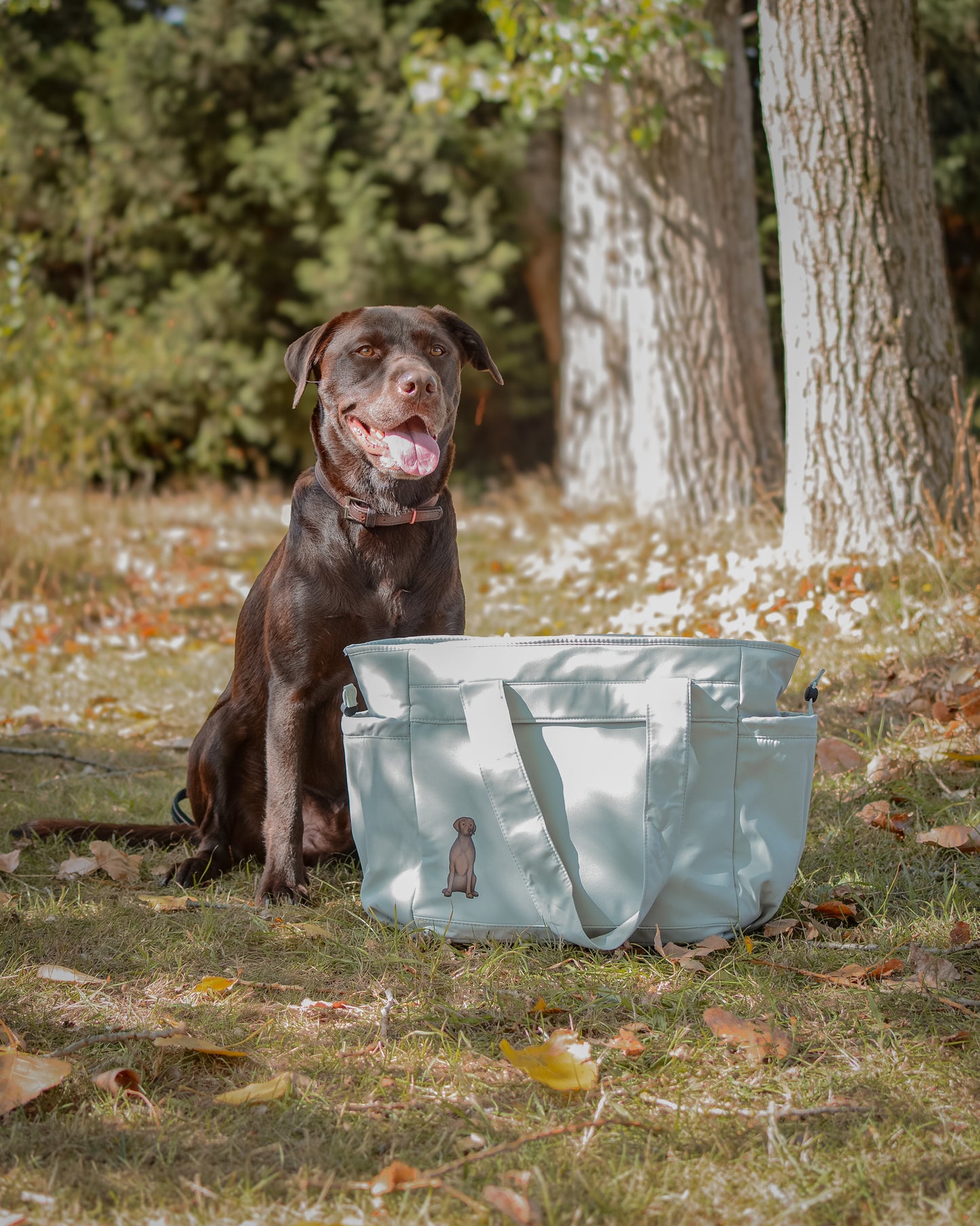 Travel Tote - Canine Companions Series