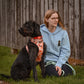 Canine Companions - Build-Your-Own