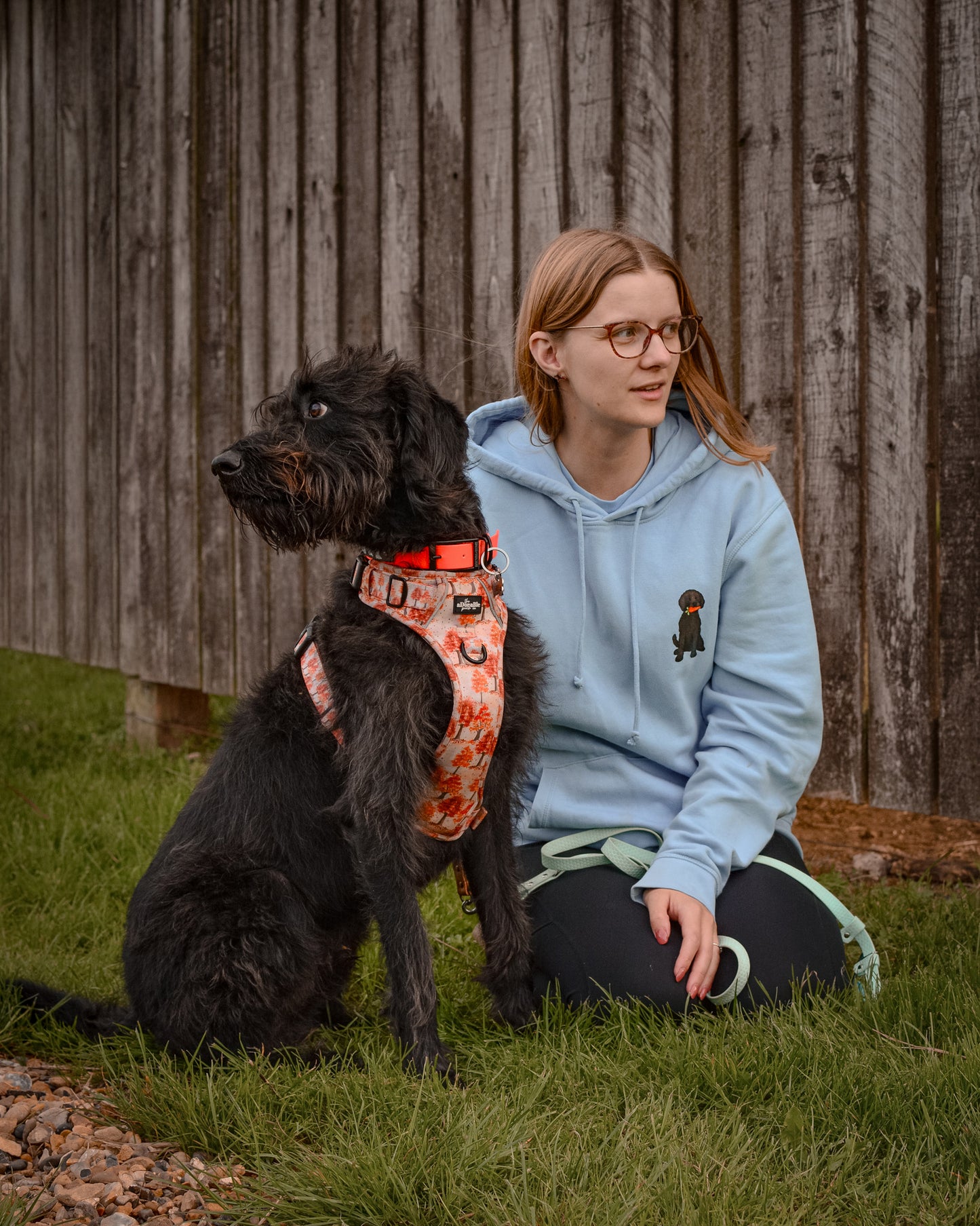 Canine Companions - Build-Your-Own