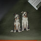Collies - Build-Your-Own