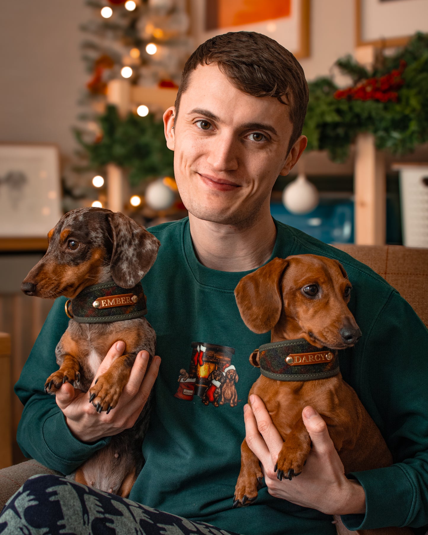 Dachshunds - Build-Your-Own