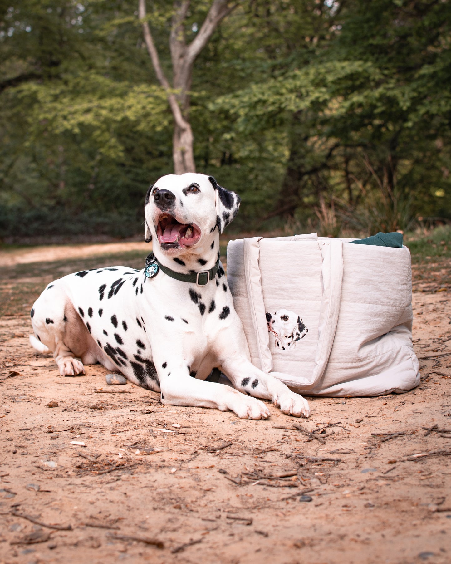 Quilted Tote - Canine Companions Series