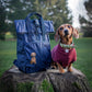Mini Backpack - Canine Companions Series