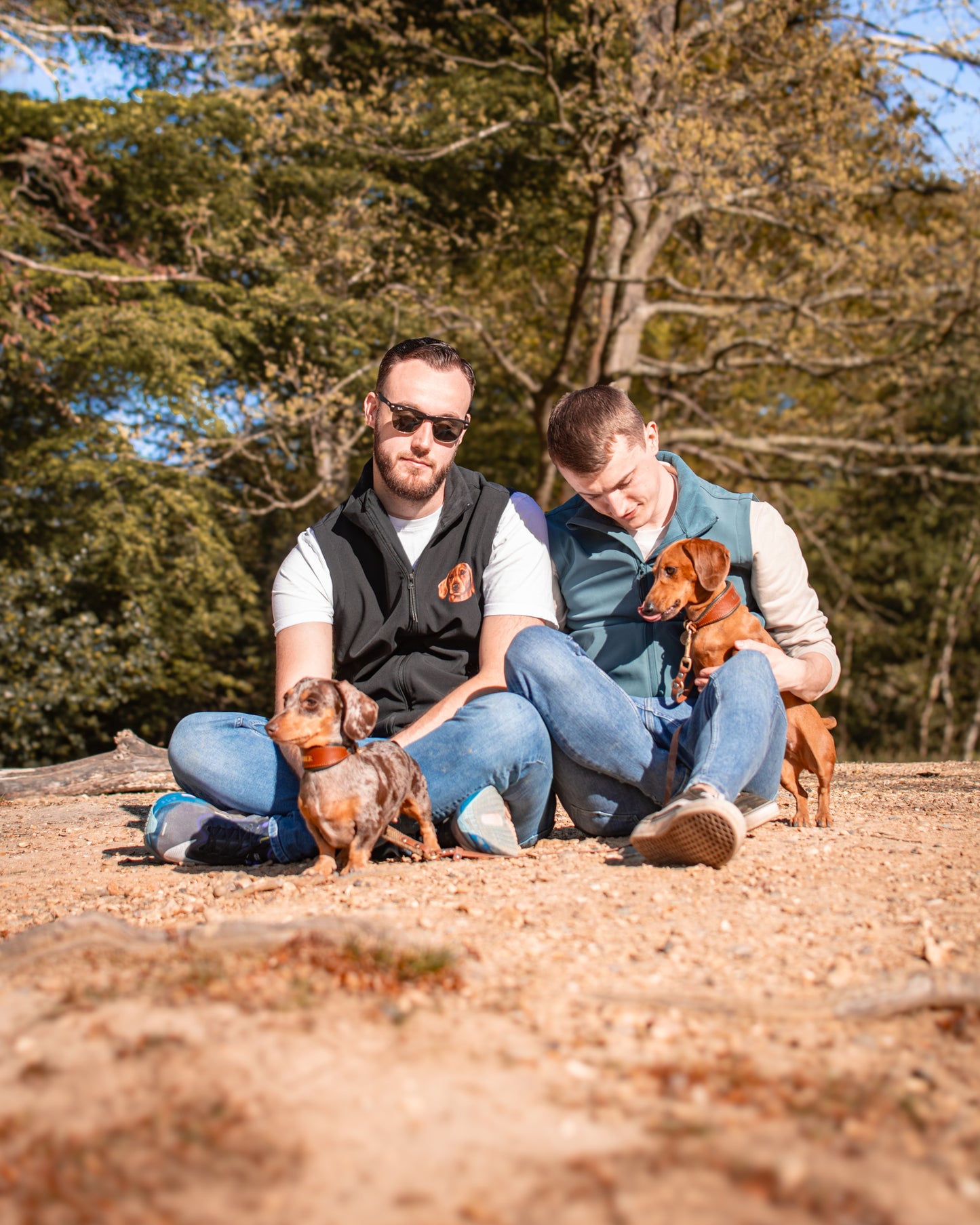 Recycled Softshell Gilet - Canine Companions Series