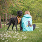 Canine Companions - Build-Your-Own