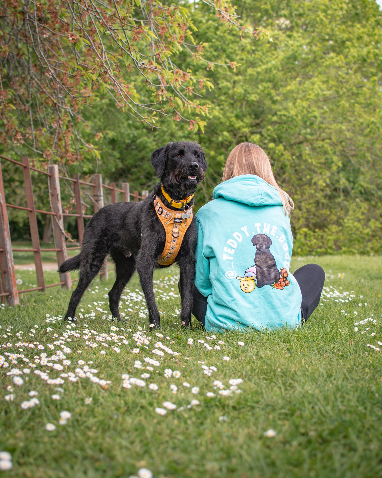 Canine Companions - Build-Your-Own