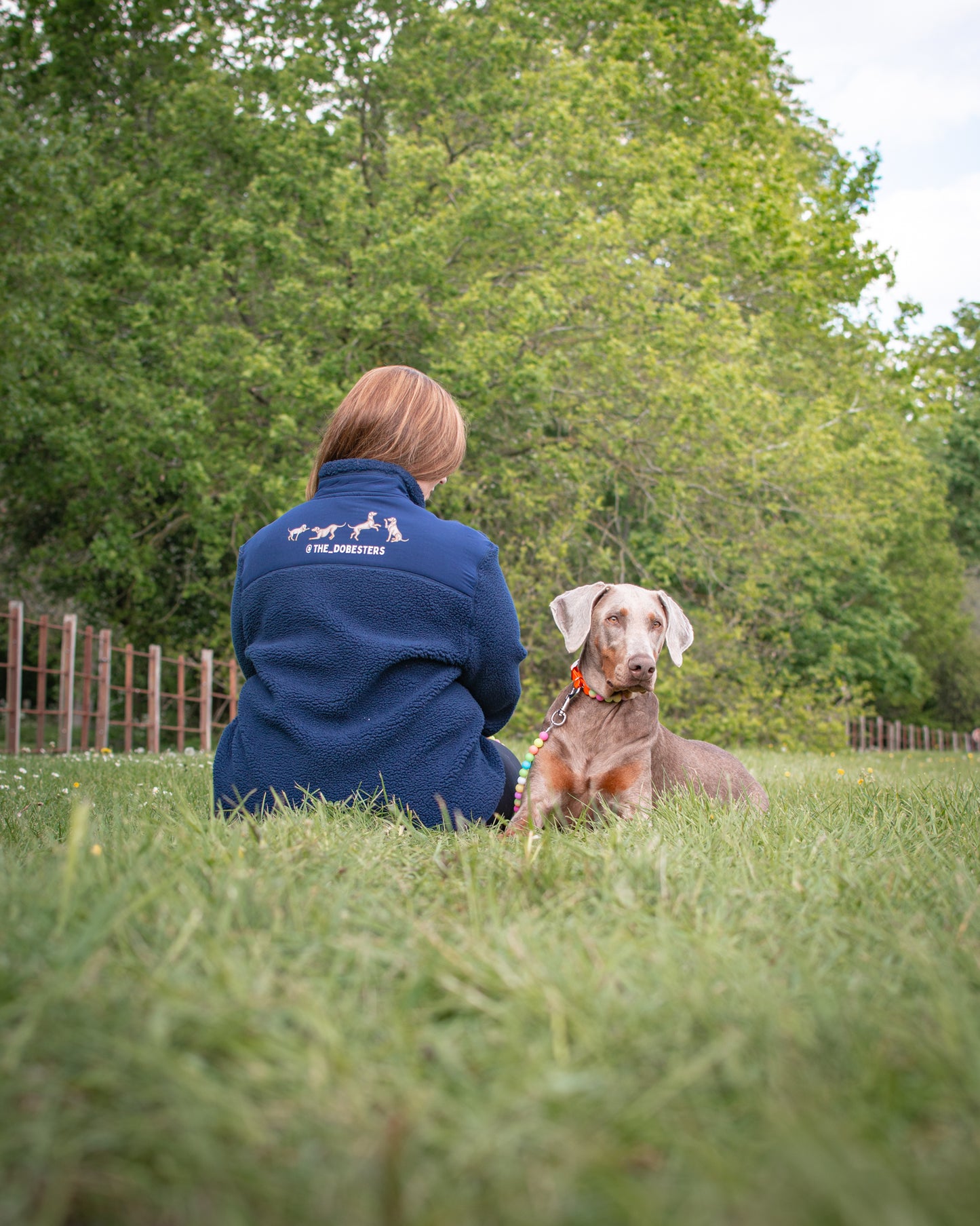 Recycled Sherpa - Canine Companions Series