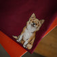 Chihuahuas - Build-Your-Own