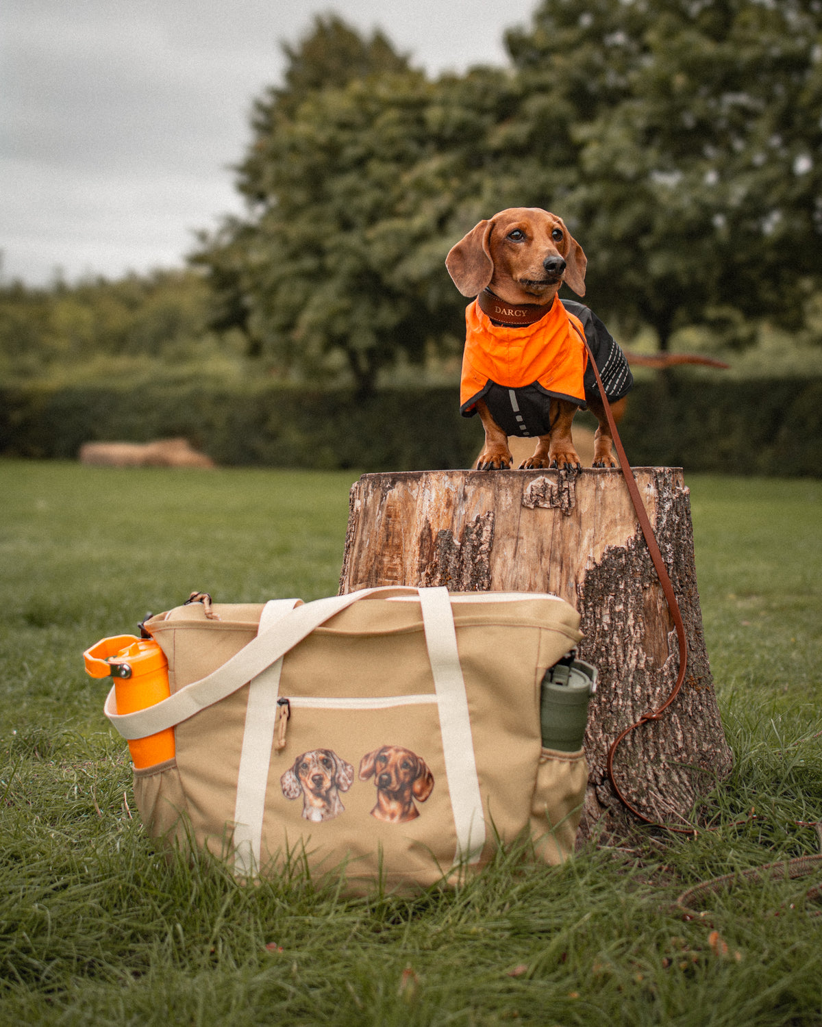 Adventure Tote - Canine Companions Series