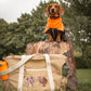 Adventure Tote - Canine Companions Series