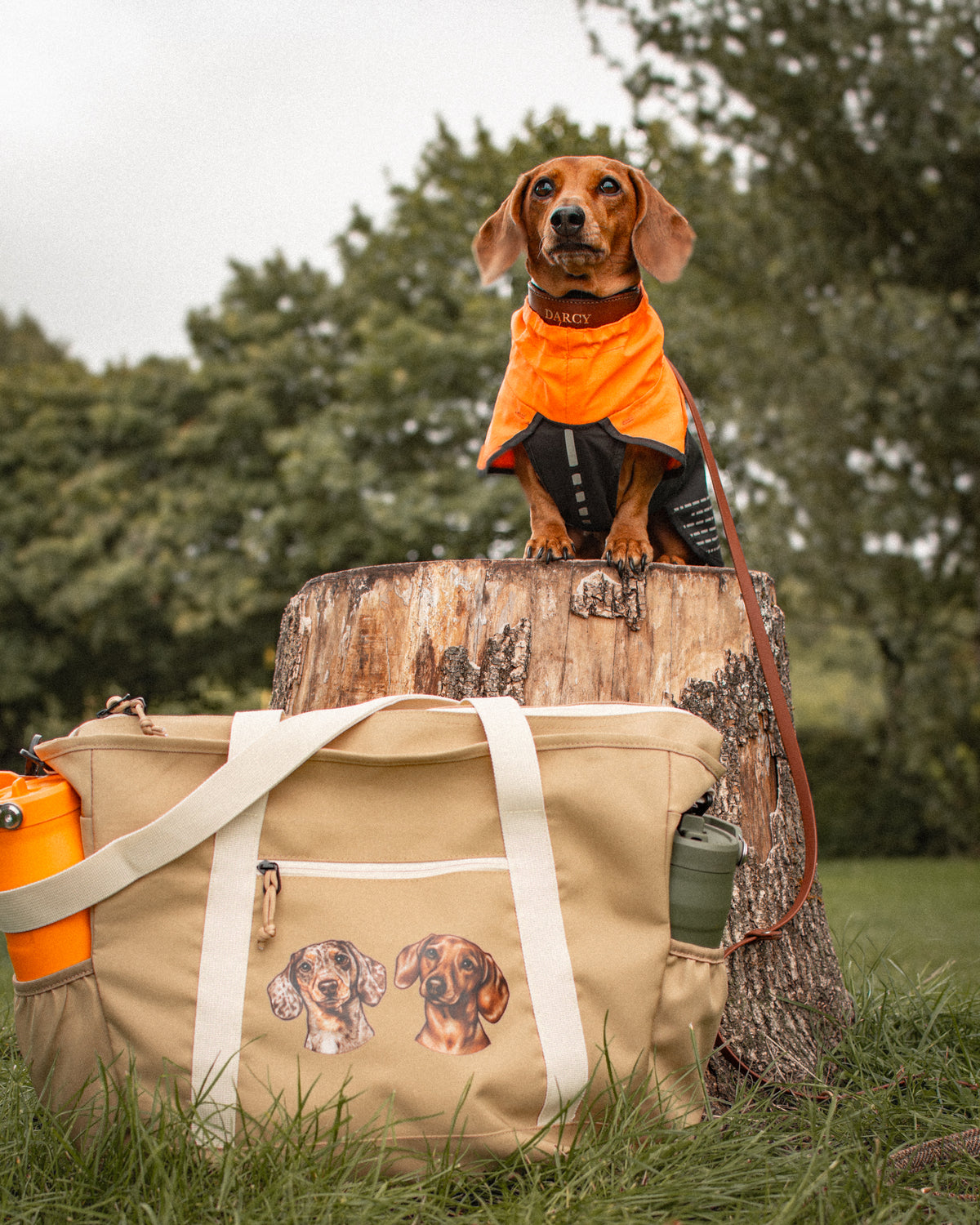 Adventure Tote - Canine Companions Series