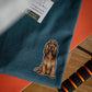 Spaniels - Build-Your-Own
