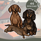 Dachshunds - Build-Your-Own