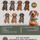 Dachshunds - Build-Your-Own