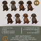 Dachshunds - Build-Your-Own