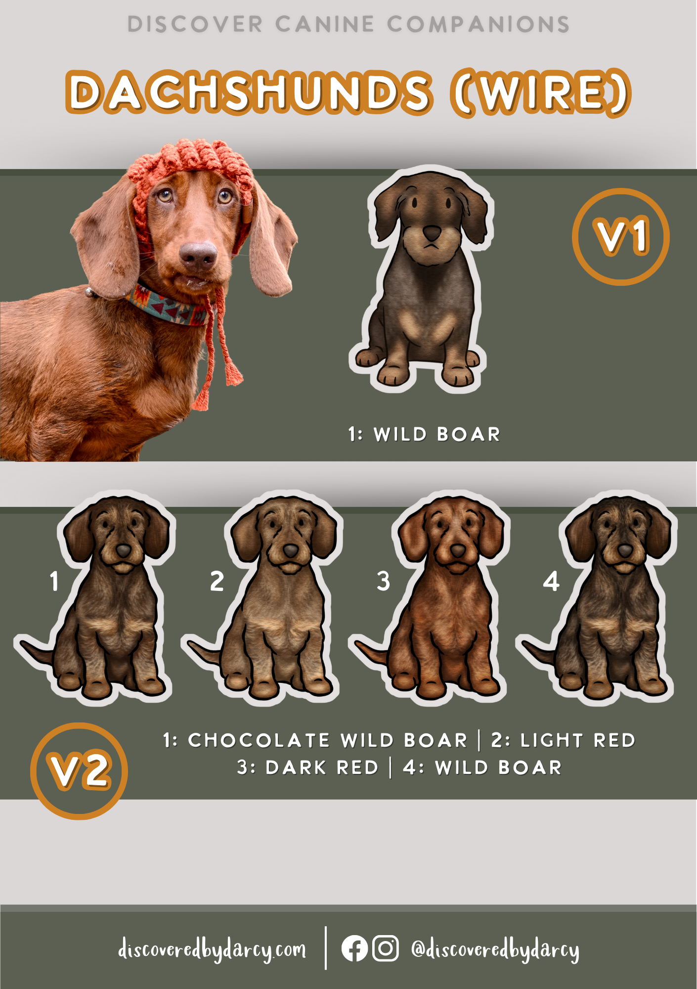 Dachshunds - Build-Your-Own