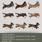 Dachshunds - Build-Your-Own