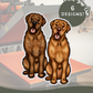 Dogue De Bordeaux - Build-Your-Own