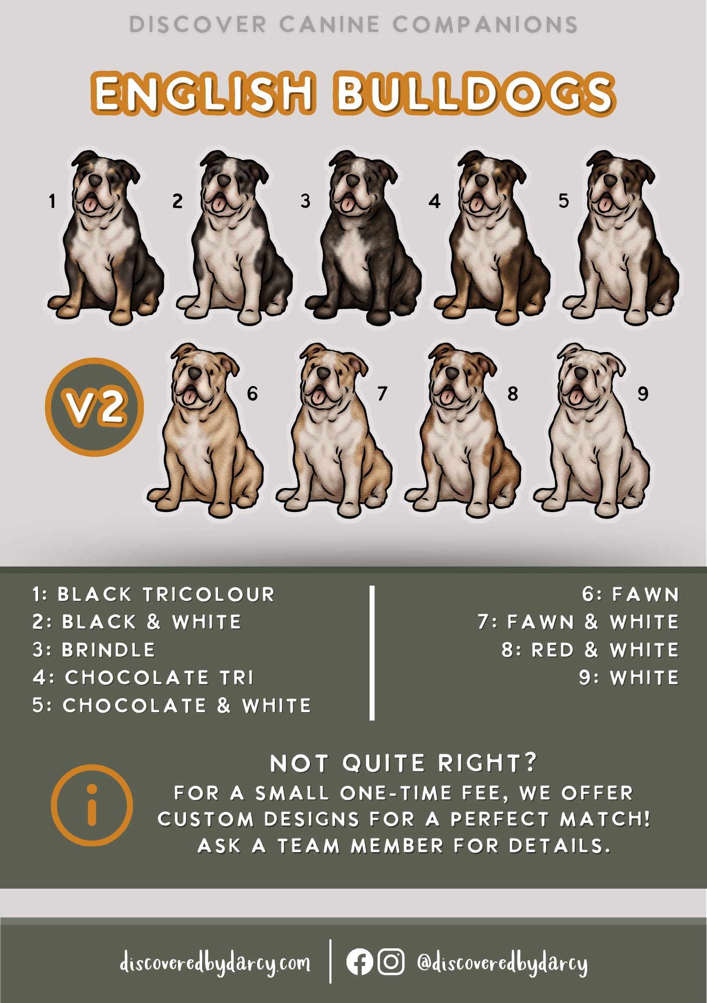 English Bulldogs - Build-Your-Own