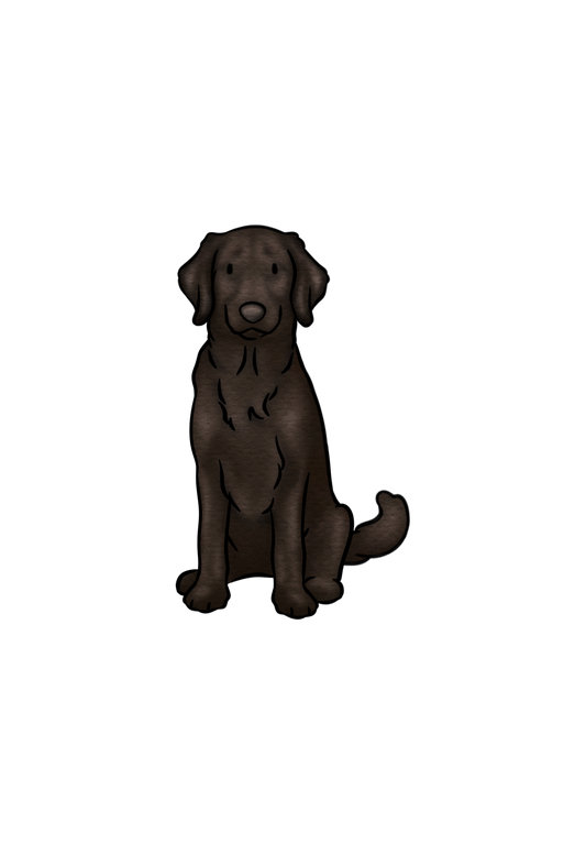 Hunter Flatcoat