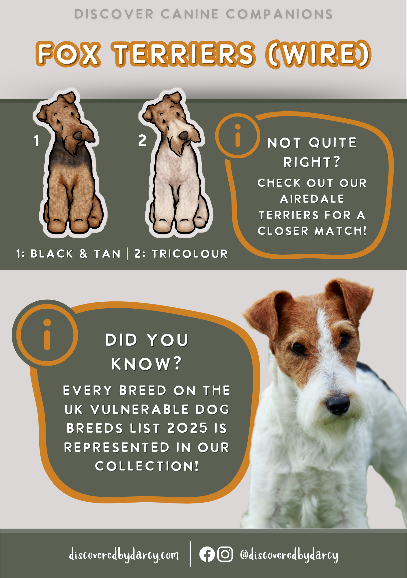 Fox Terriers - Build-Your-Own