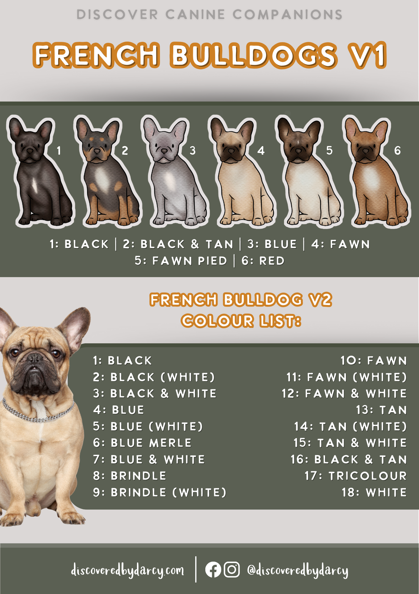 French Bulldogs - Build-Your-Own