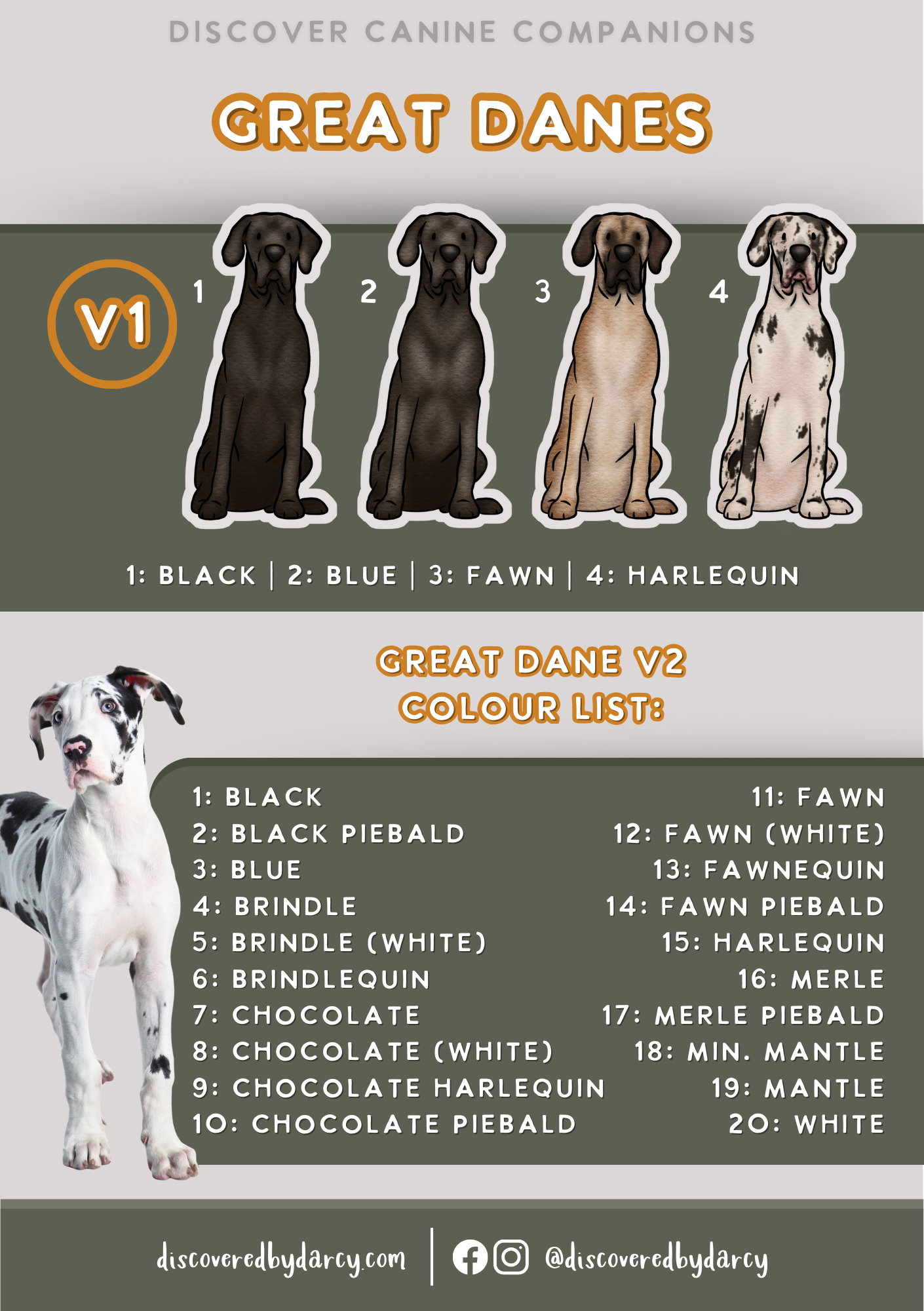 Great Danes - Build-Your-Own