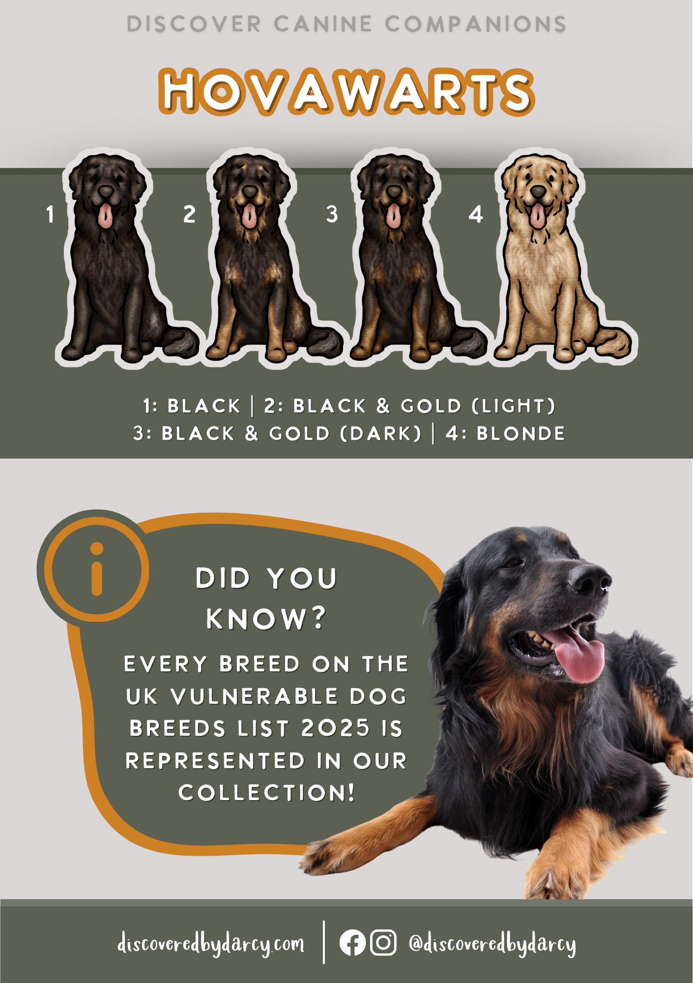 Hovawarts - Build-Your-Own