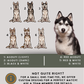 Huskies - Build-Your-Own