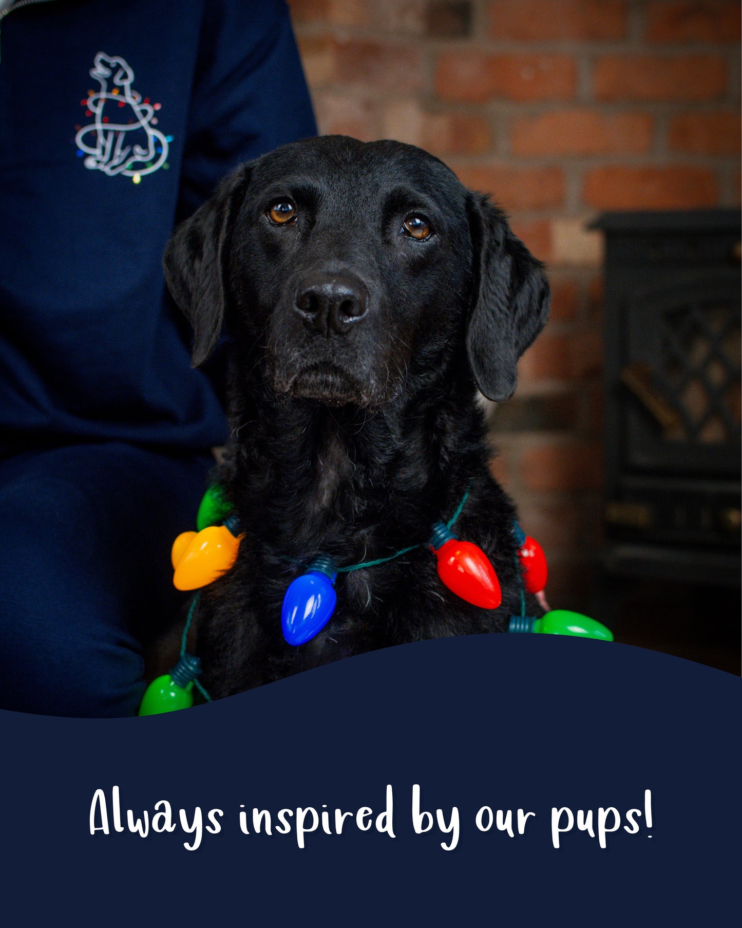 By The Fire - Build-Your-Own