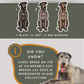 Irish Wolfhounds - Build-Your-Own