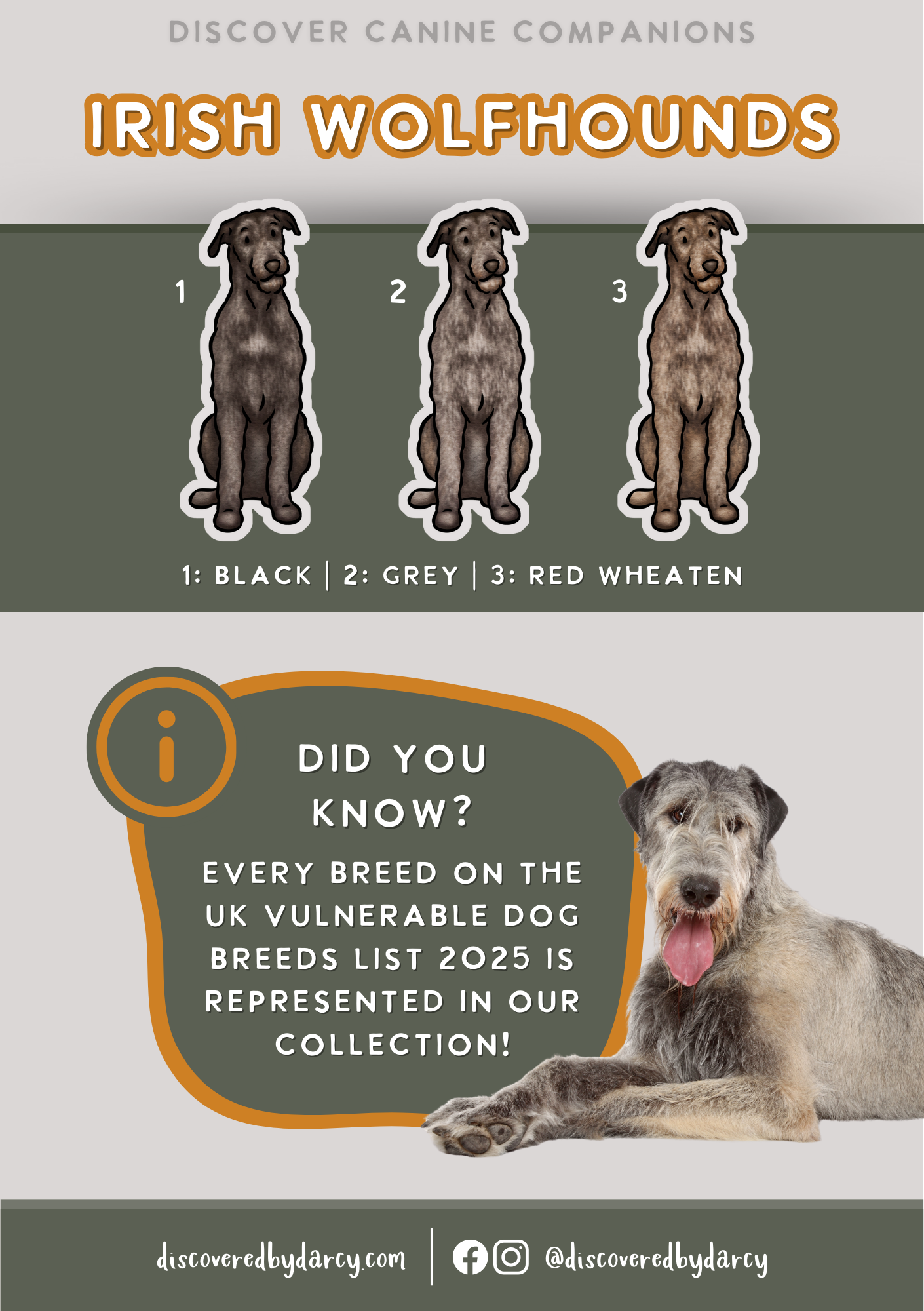 Irish Wolfhounds - Build-Your-Own