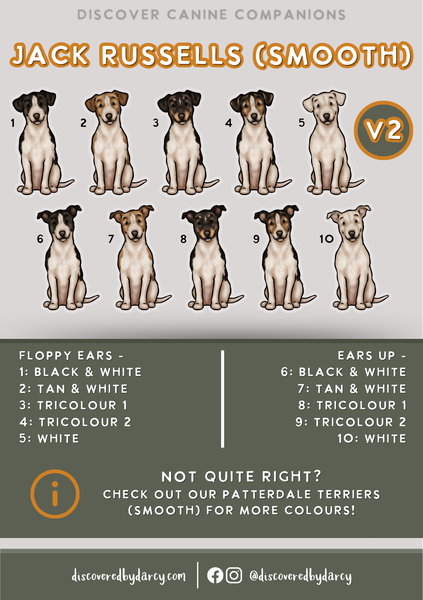 Jack Russel Terriers - Build-Your-Own
