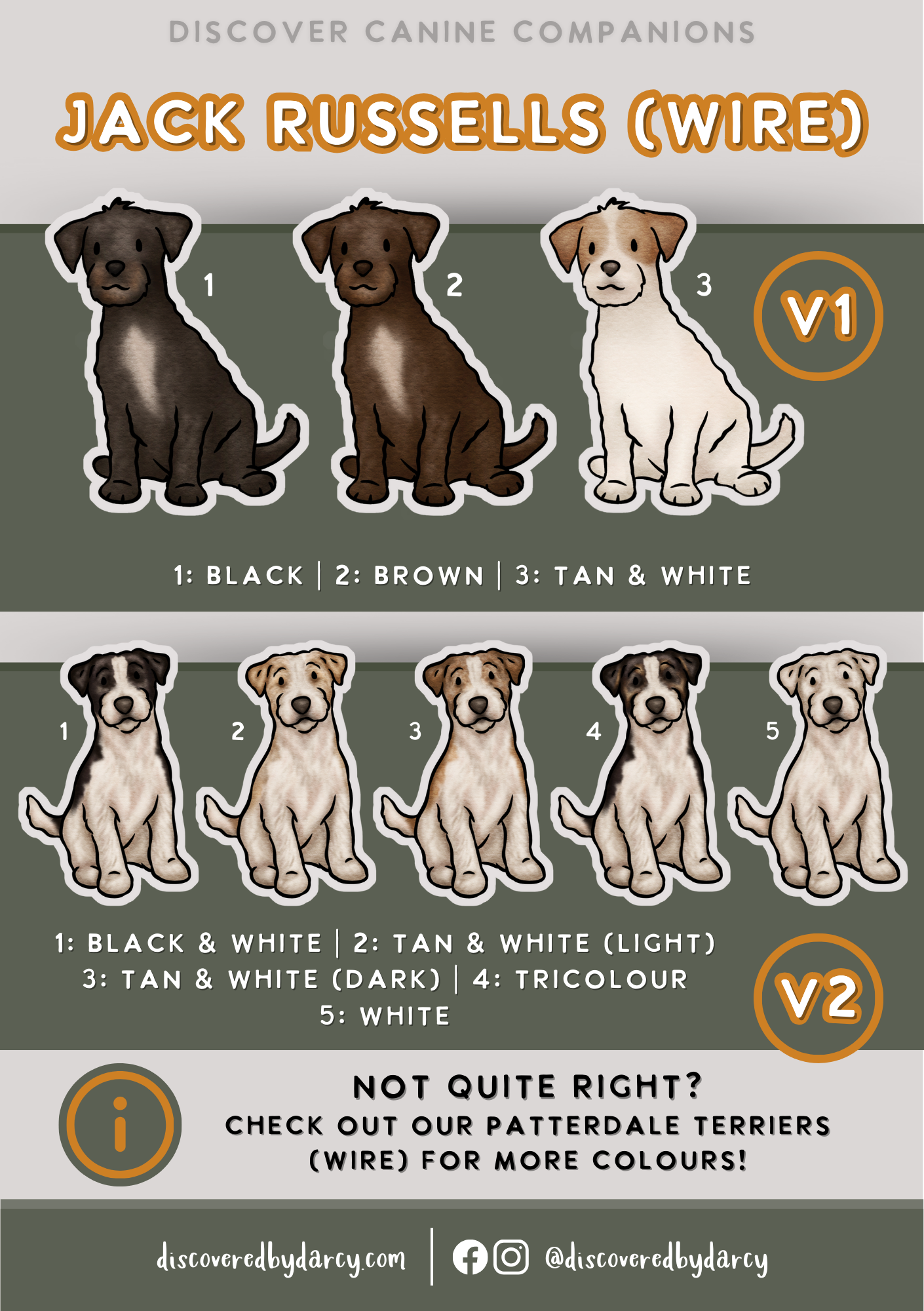 Jack Russel Terriers - Build-Your-Own