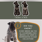 Kerry Blue Terriers - Build-Your-Own