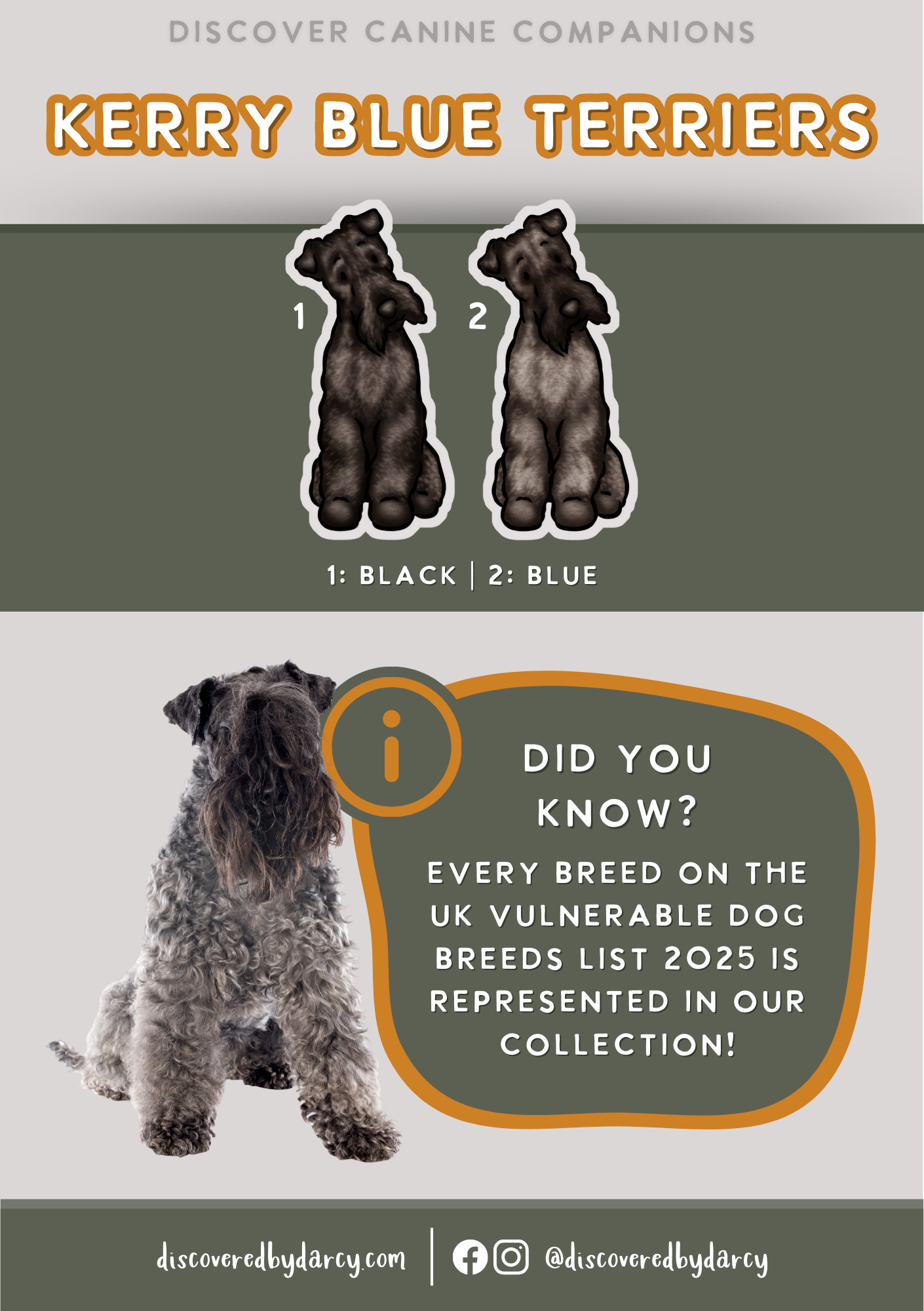 Kerry Blue Terriers - Build-Your-Own